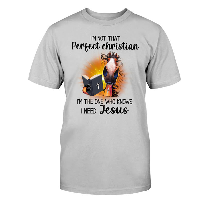 Christianartworkshop Ich bin nicht so perfekter Christ, ich brauche Jesus Classic T-Shirt - Grau - 2XL - image 4