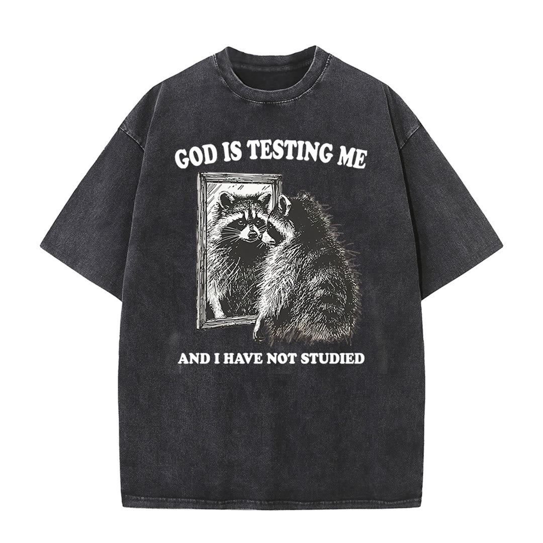 Christianartworkshop Gott prüft mich und ich habe nicht studiert Unisex gewaschenes T-Shirt