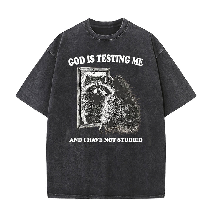 Christianartworkshop Gott prüft mich und ich habe nicht studiert Unisex gewaschenes T-Shirt