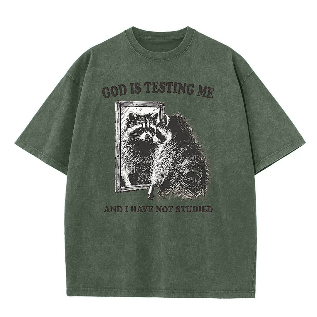 Christianartworkshop Gott prüft mich und ich habe nicht studiert Unisex gewaschenes T-Shirt