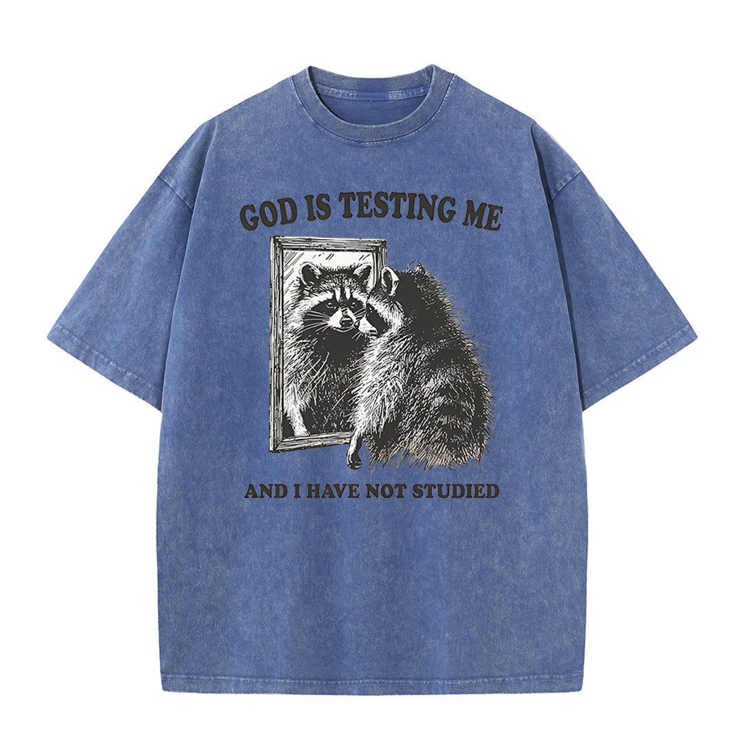 Christianartworkshop Gott prüft mich und ich habe nicht studiert Unisex gewaschenes T-Shirt