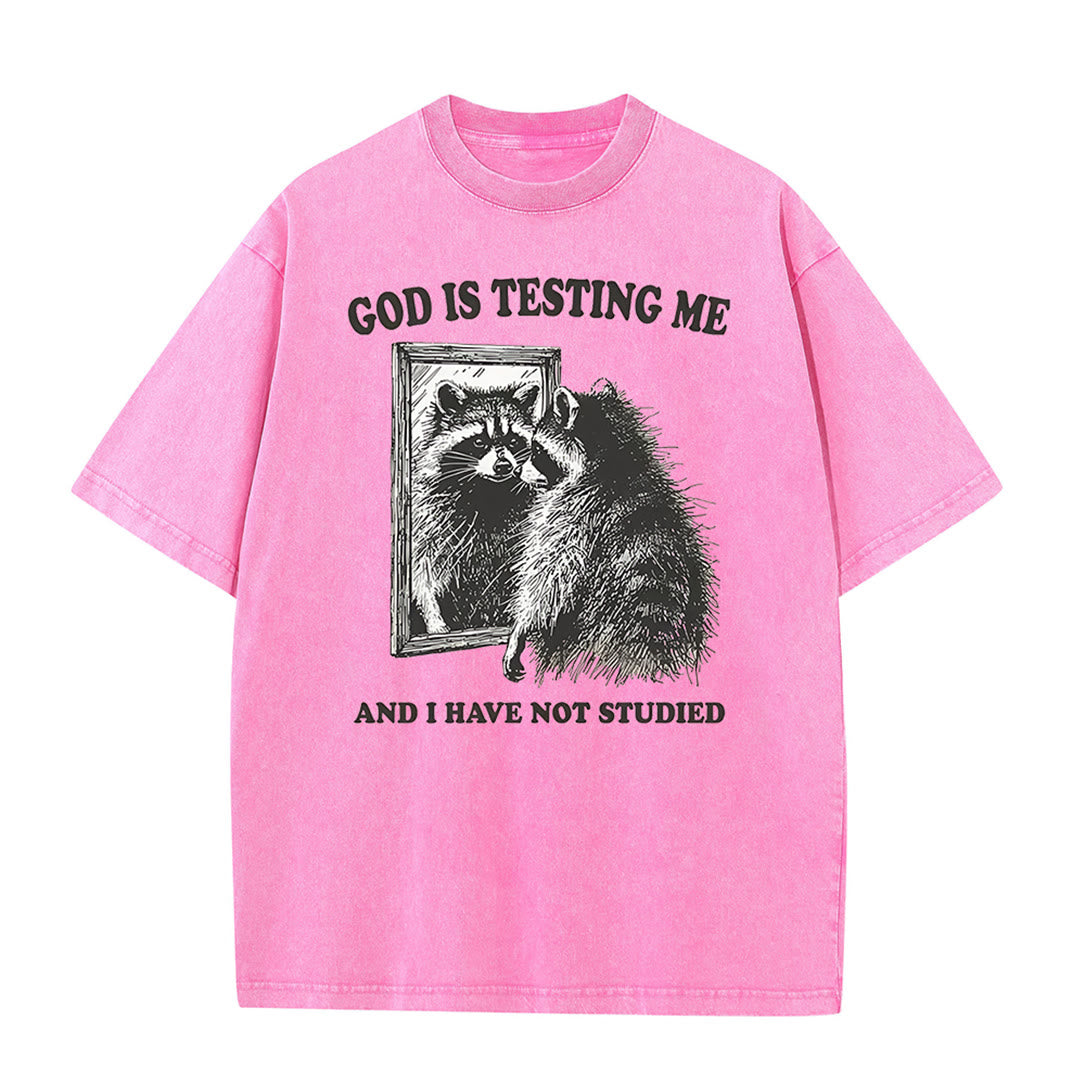 Christianartworkshop Gott prüft mich und ich habe nicht studiert Unisex gewaschenes T-Shirt
