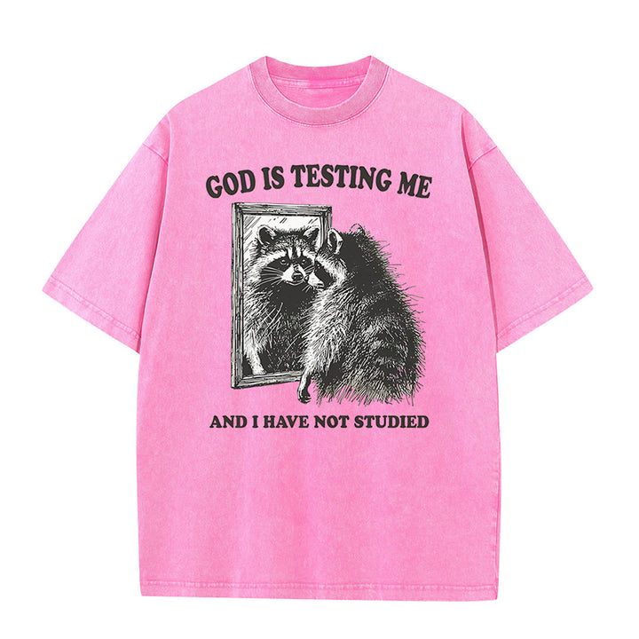 Christianartworkshop Gott prüft mich und ich habe nicht studiert Unisex gewaschenes T-Shirt