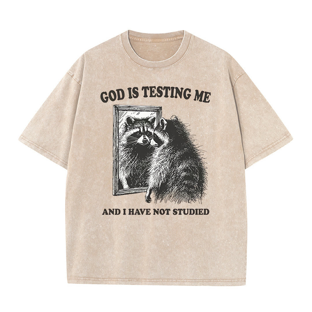 Christianartworkshop Gott prüft mich und ich habe nicht studiert Unisex gewaschenes T-Shirt