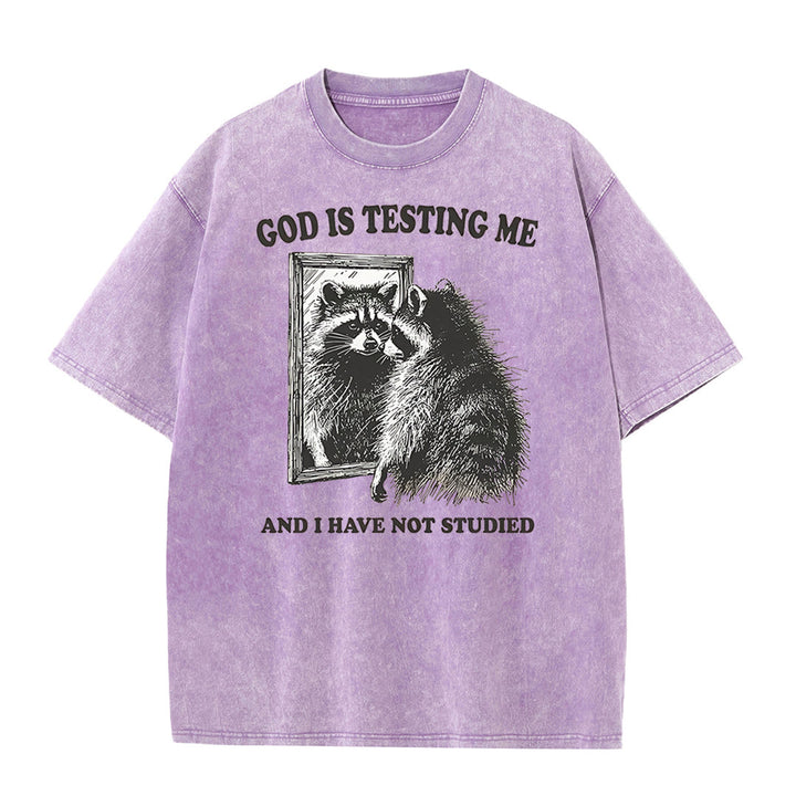 Christianartworkshop Gott prüft mich und ich habe nicht studiert Unisex gewaschenes T-Shirt