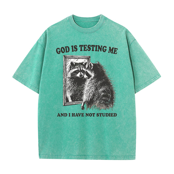 Christianartworkshop Gott prüft mich und ich habe nicht studiert Unisex gewaschenes T-Shirt