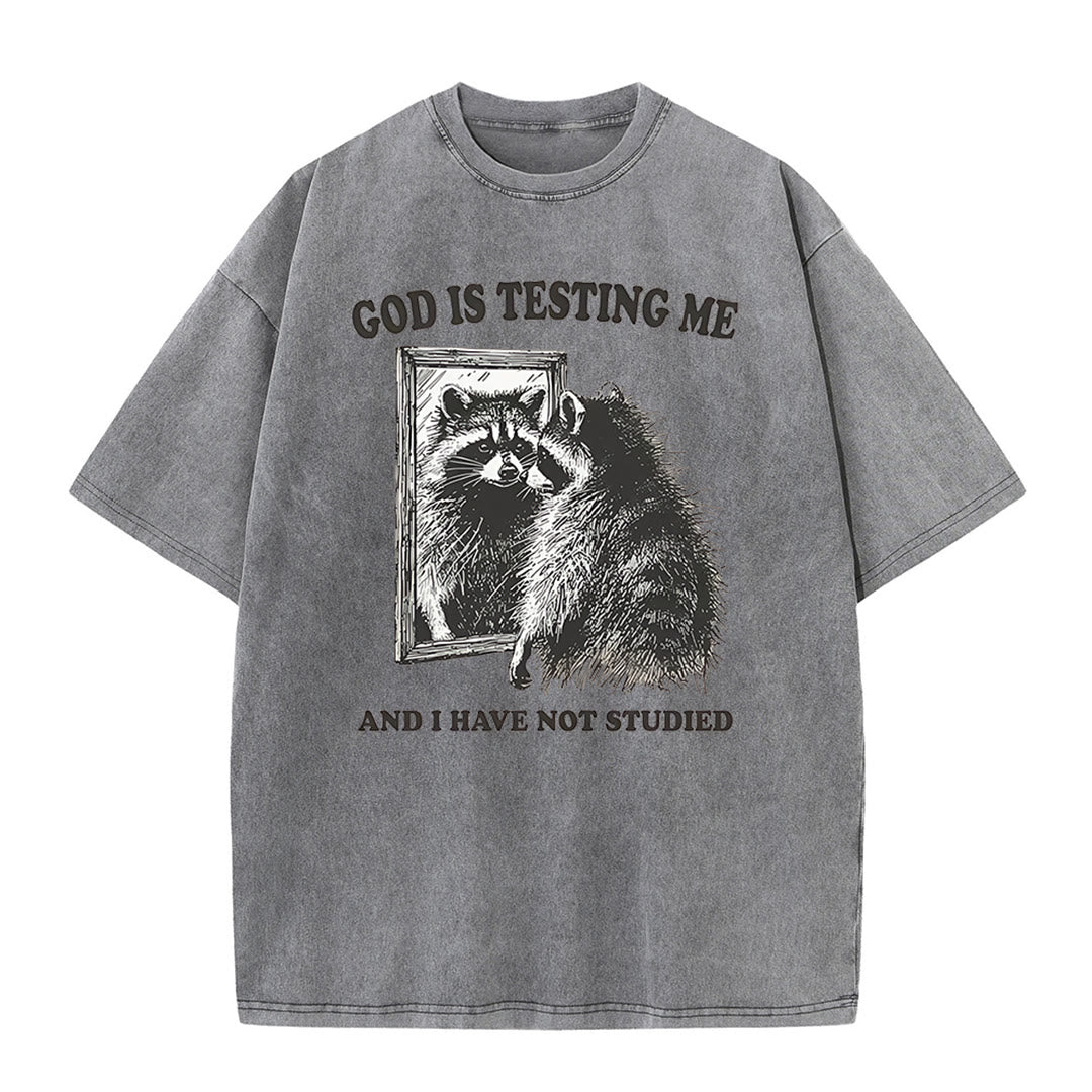 Christianartworkshop Gott prüft mich und ich habe nicht studiert Unisex gewaschenes T-Shirt