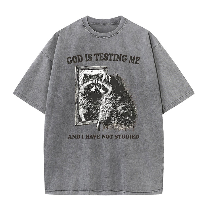 Christianartworkshop Gott prüft mich und ich habe nicht studiert Unisex gewaschenes T-Shirt