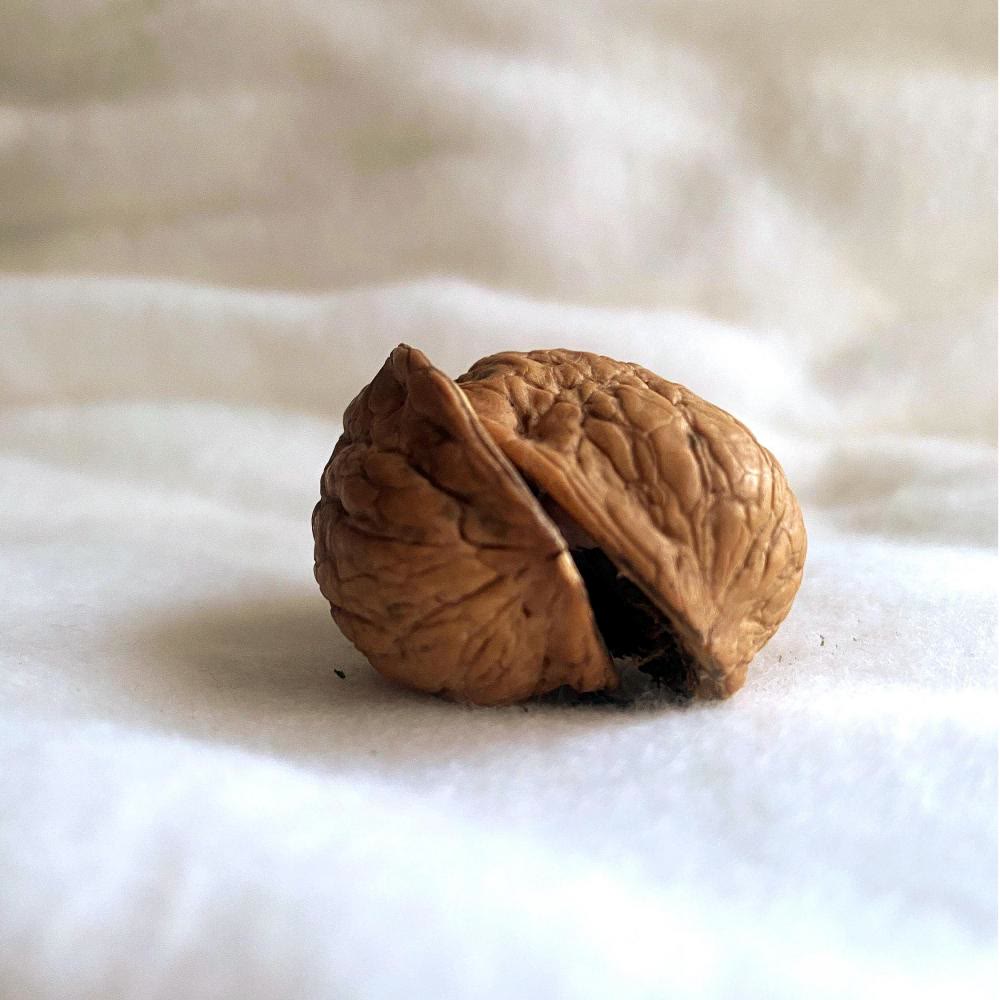 Christliche Krippenfigur aus Walnussschalen von Christianartworkshop: Miniatur-Heilige Szene für religiöse Dekoration - image 2